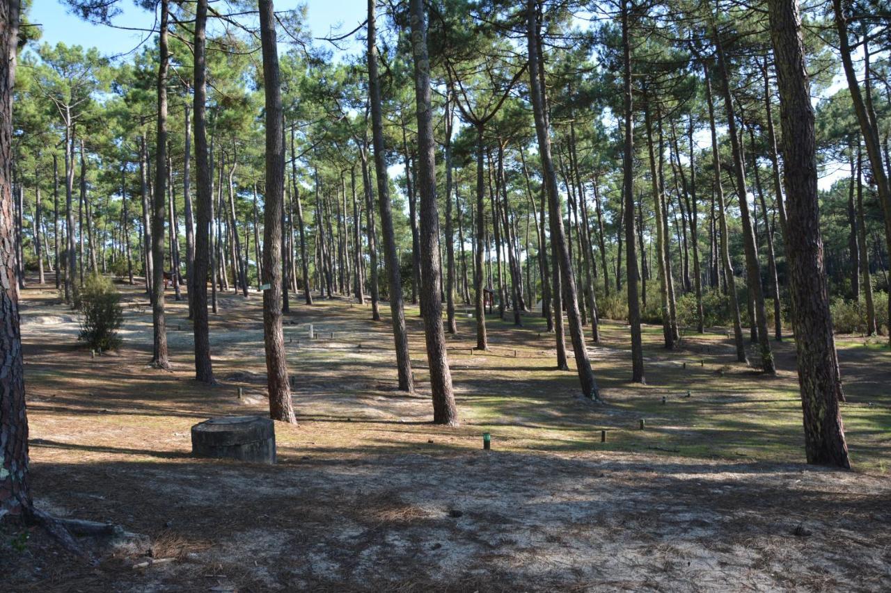 Wellness Sport Camping - La Dune Bleue Carcans Kültér fotó